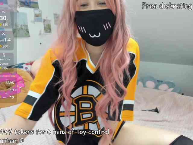 kyrawild webcam
