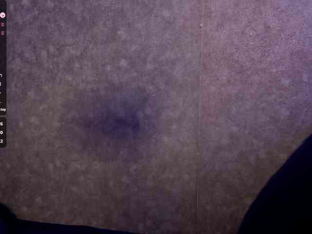 BettyannBencomo webcam