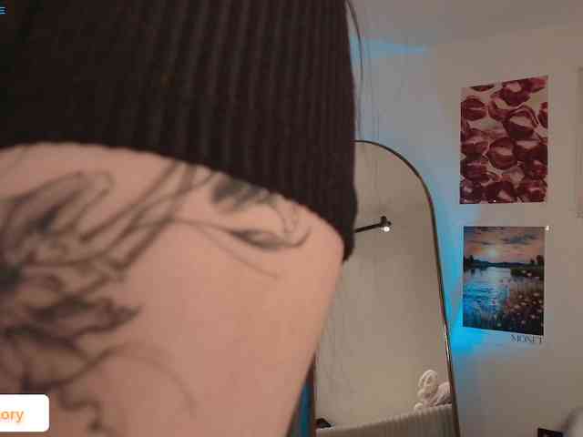 venusart webcam