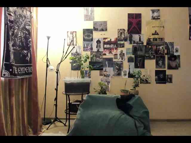 TemptingFable webcam