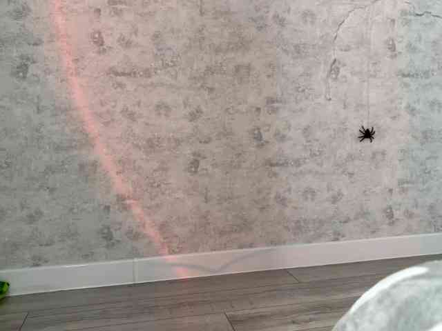 KittyNolick webcam