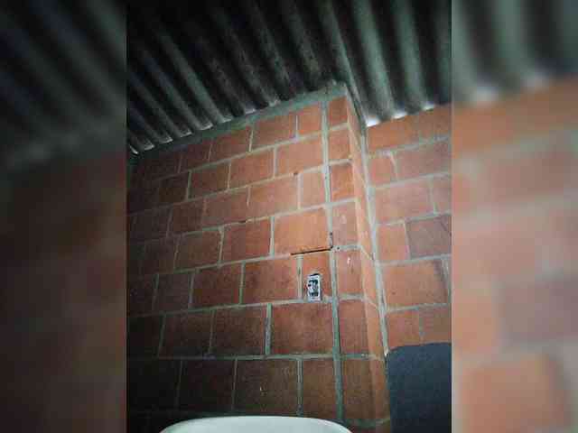 EmiliAddams webcam