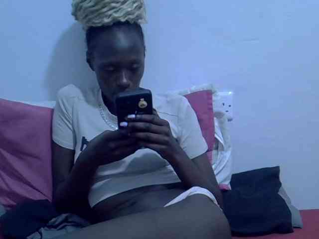 Twinkletia webcam