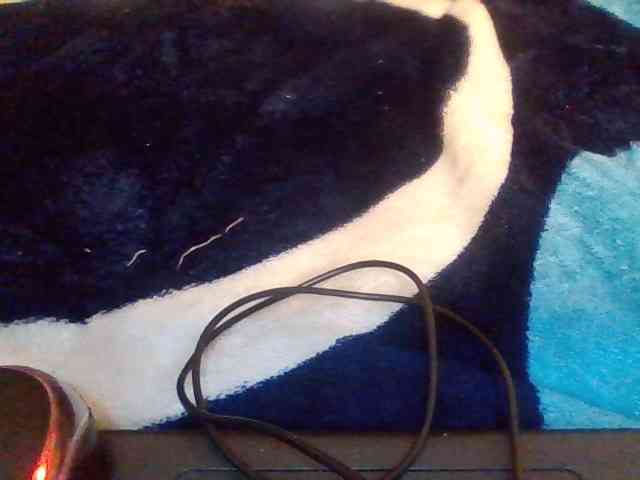 CherryCoco webcam