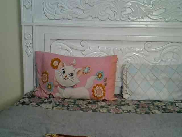PetiteBunnny webcam