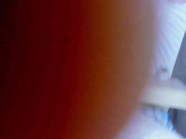 Youngs-Wild webcam