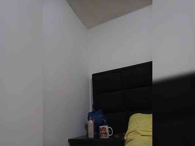 Berseker- webcam