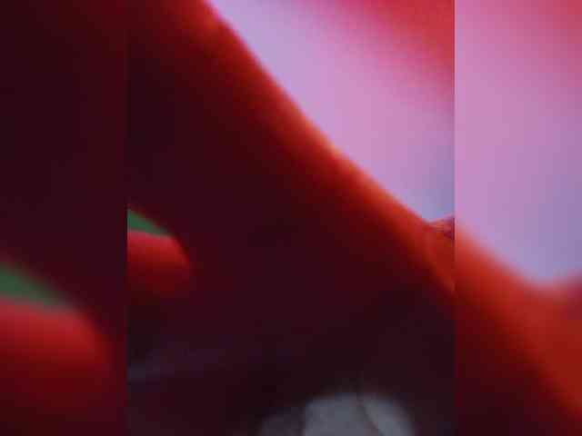 Berseker- webcam