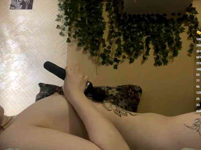 ShelliKvek webcam