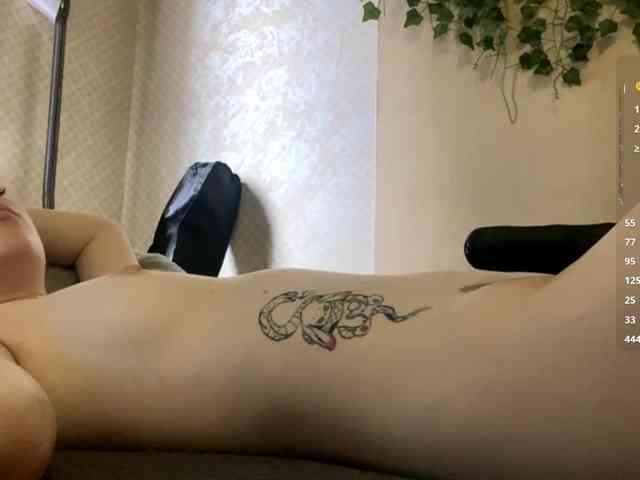 ShelliKvek webcam