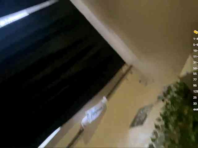 ShelliKvek webcam