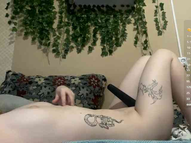 ShelliKvek webcam