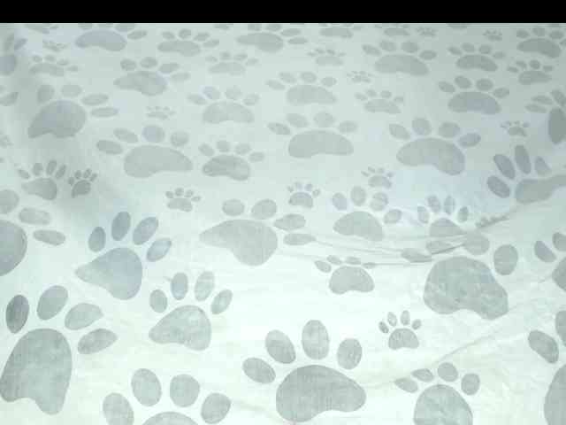 Scarlet-Delux07 webcam