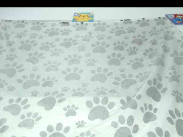 Scarlet-Delux07 webcam