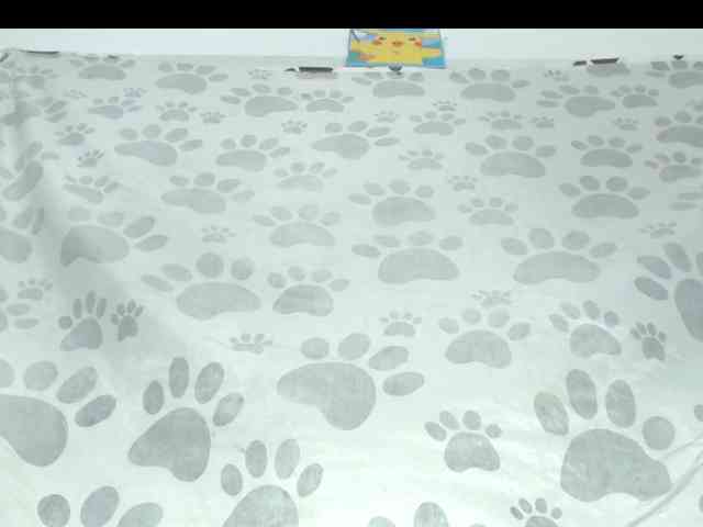 Scarlet-Delux07 webcam