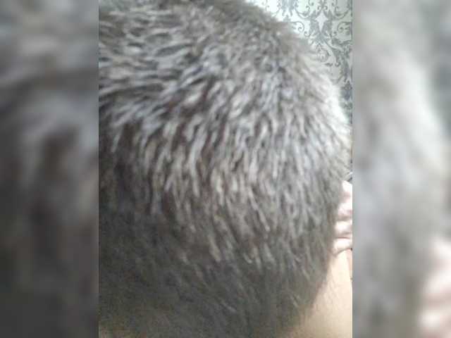 Accedi alla chat con il nickname Anallovess Anallovess