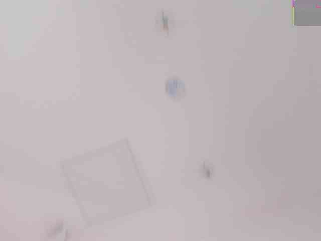lyrabellini webcam