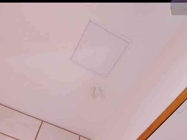 lyrabellini webcam