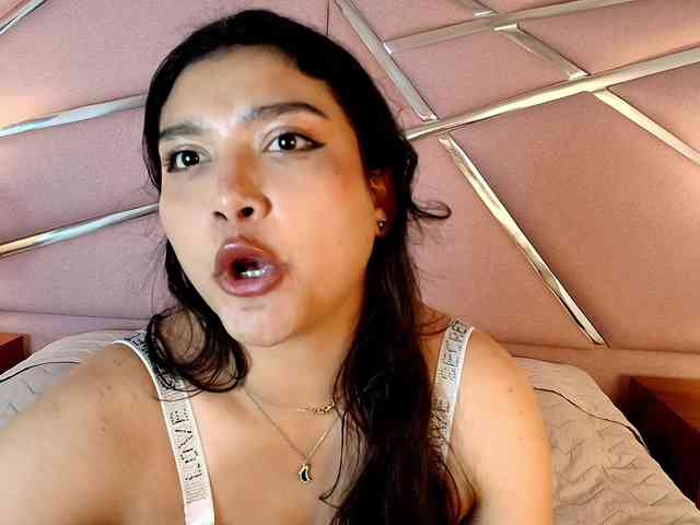 Sarayland webcam