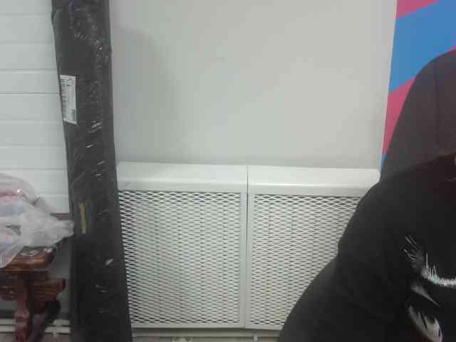 Darinac webcam