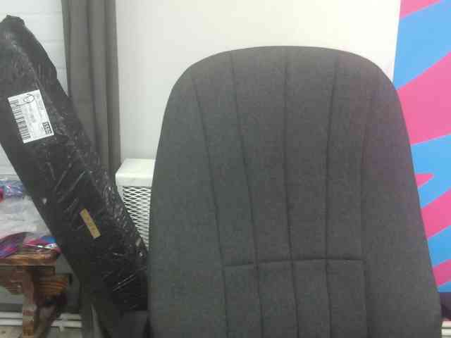 Darinac webcam