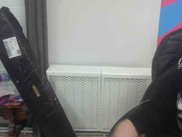 Darinac webcam