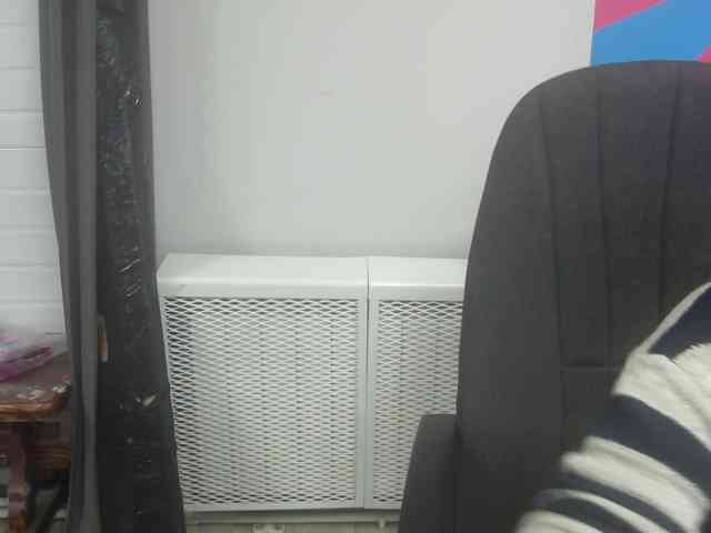 Darinac webcam