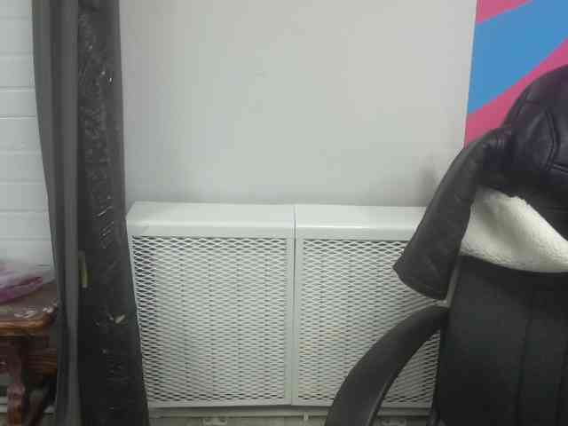Darinac webcam