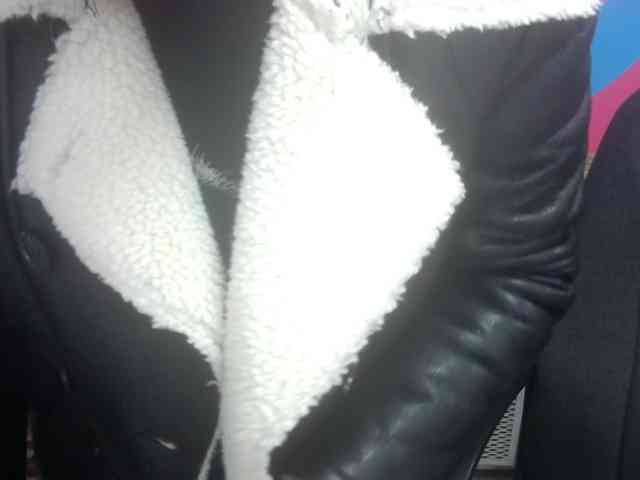 Darinac webcam