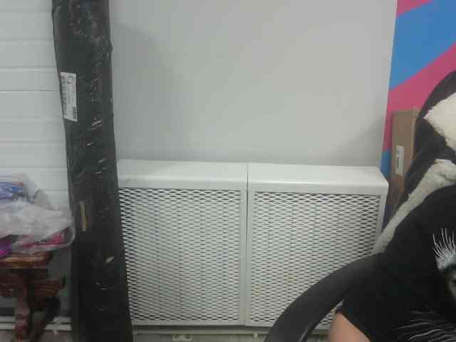 Darinac webcam