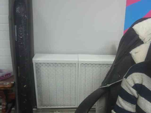 Darinac webcam