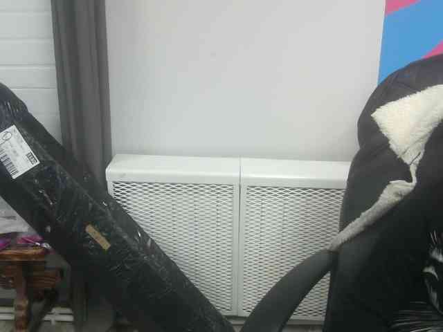 Darinac webcam