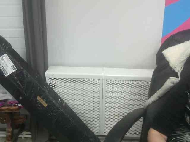 Darinac webcam