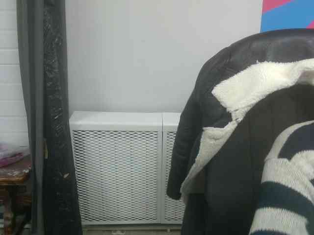 Darinac webcam