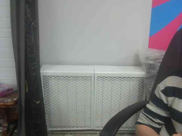Darinac webcam