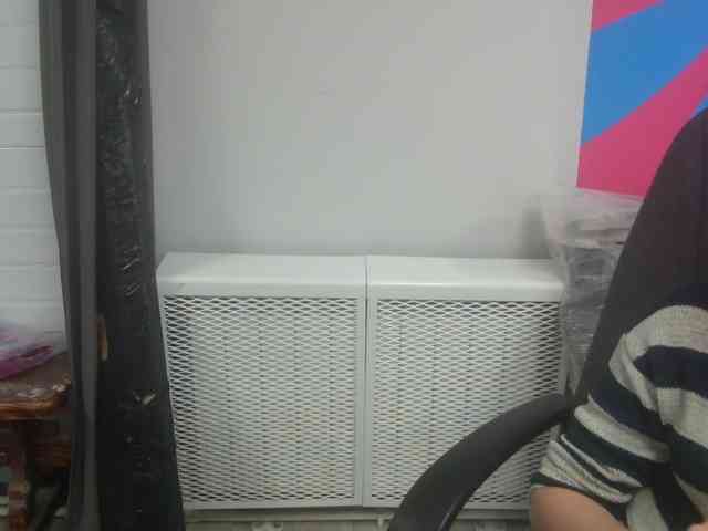 Darinac webcam