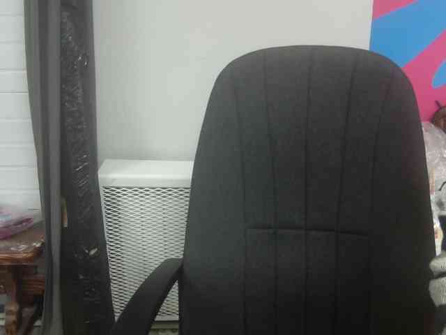 Darinac webcam