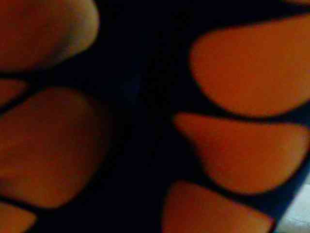 CamileJohnston webcam