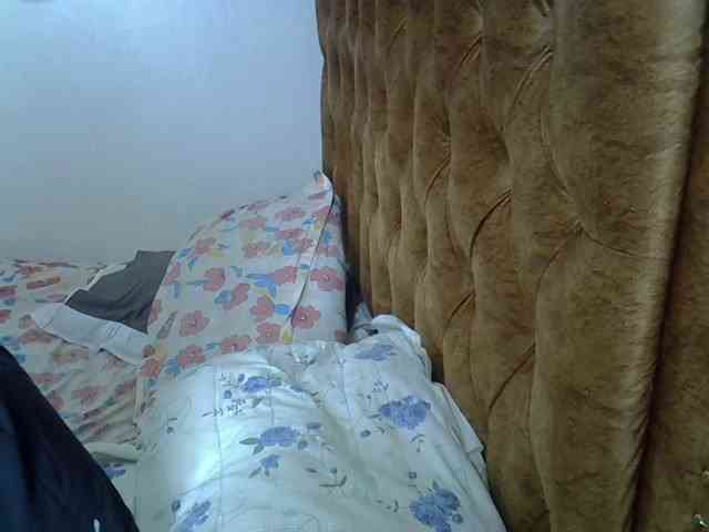 L-isa webcam