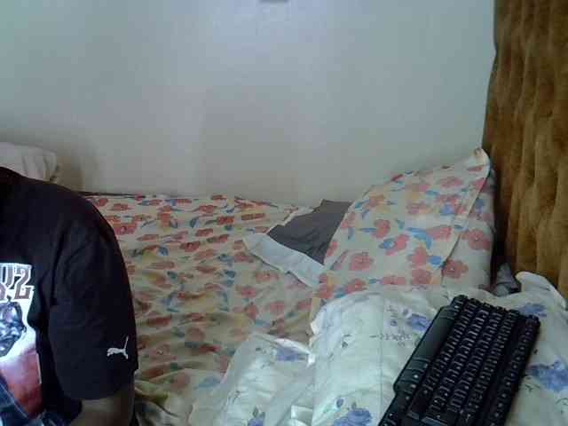 L-isa webcam