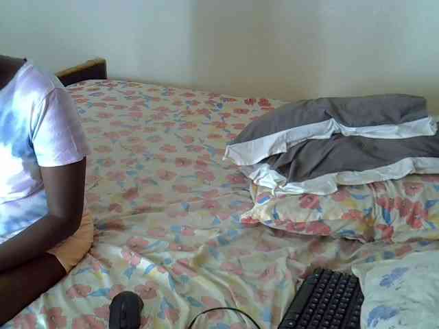 L-isa webcam