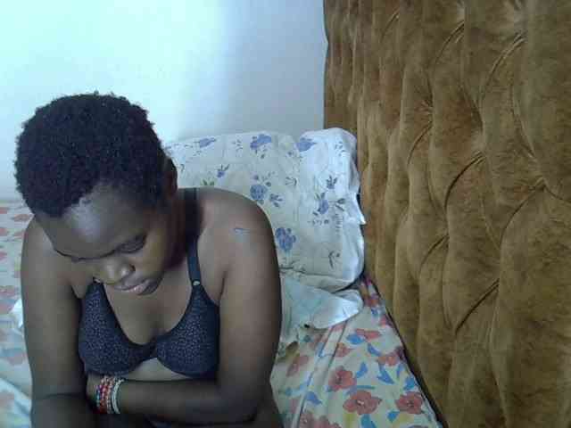 L-isa webcam