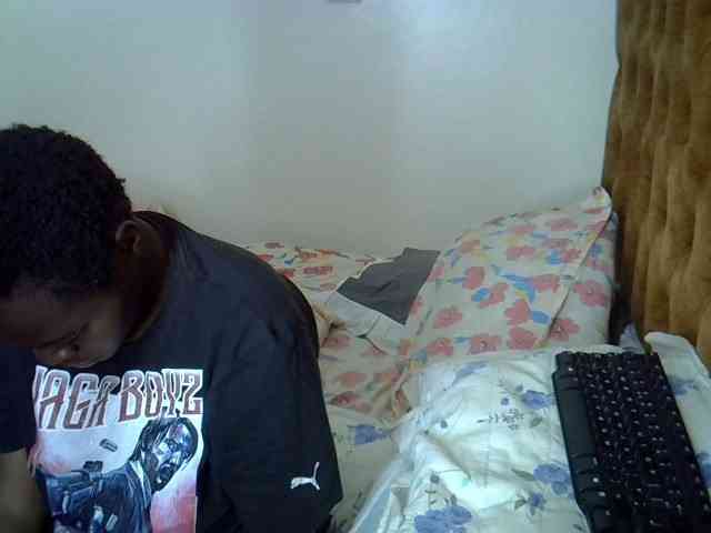 L-isa webcam