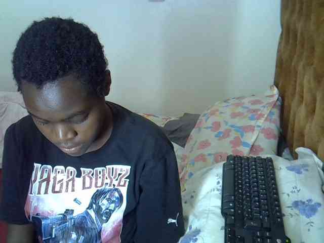 L-isa webcam