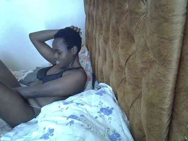 L-isa webcam