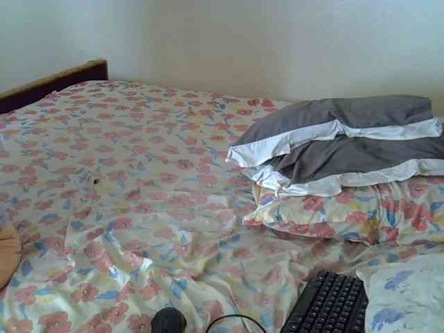 L-isa webcam