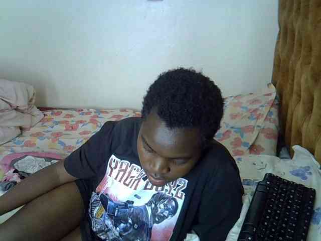 L-isa webcam
