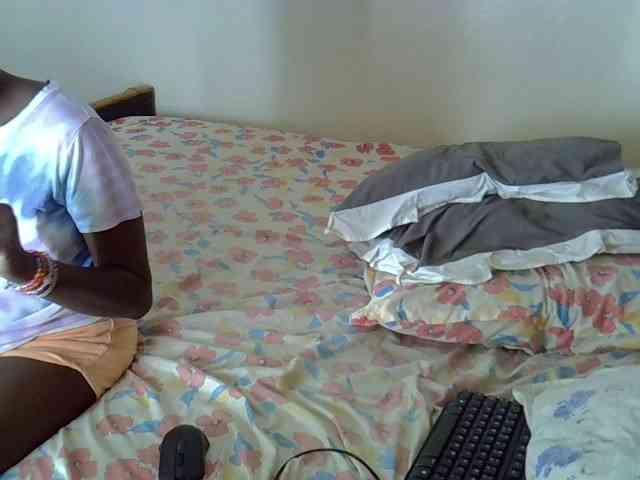 L-isa webcam