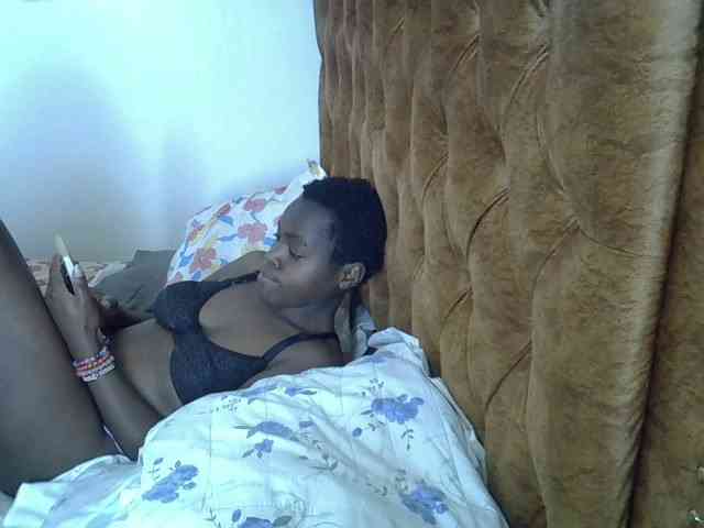 L-isa webcam