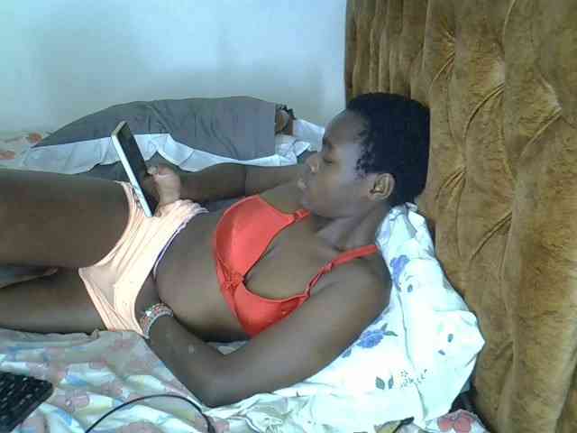 L-isa webcam
